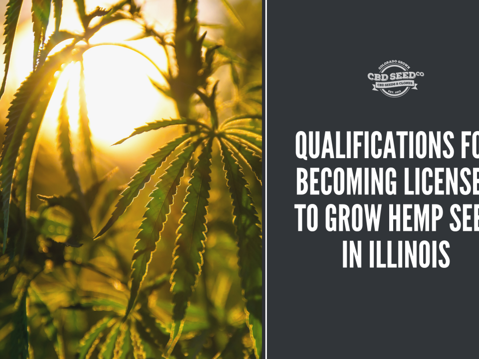 qualifications license grow hemp seed illinois