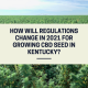 regulations growing cbd seed kentucky 2021