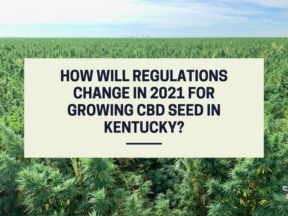 regulations growing cbd seed kentucky 2021