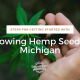 steps growing hemp seed michigan