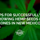 tips growing hemp seed clones new mexico