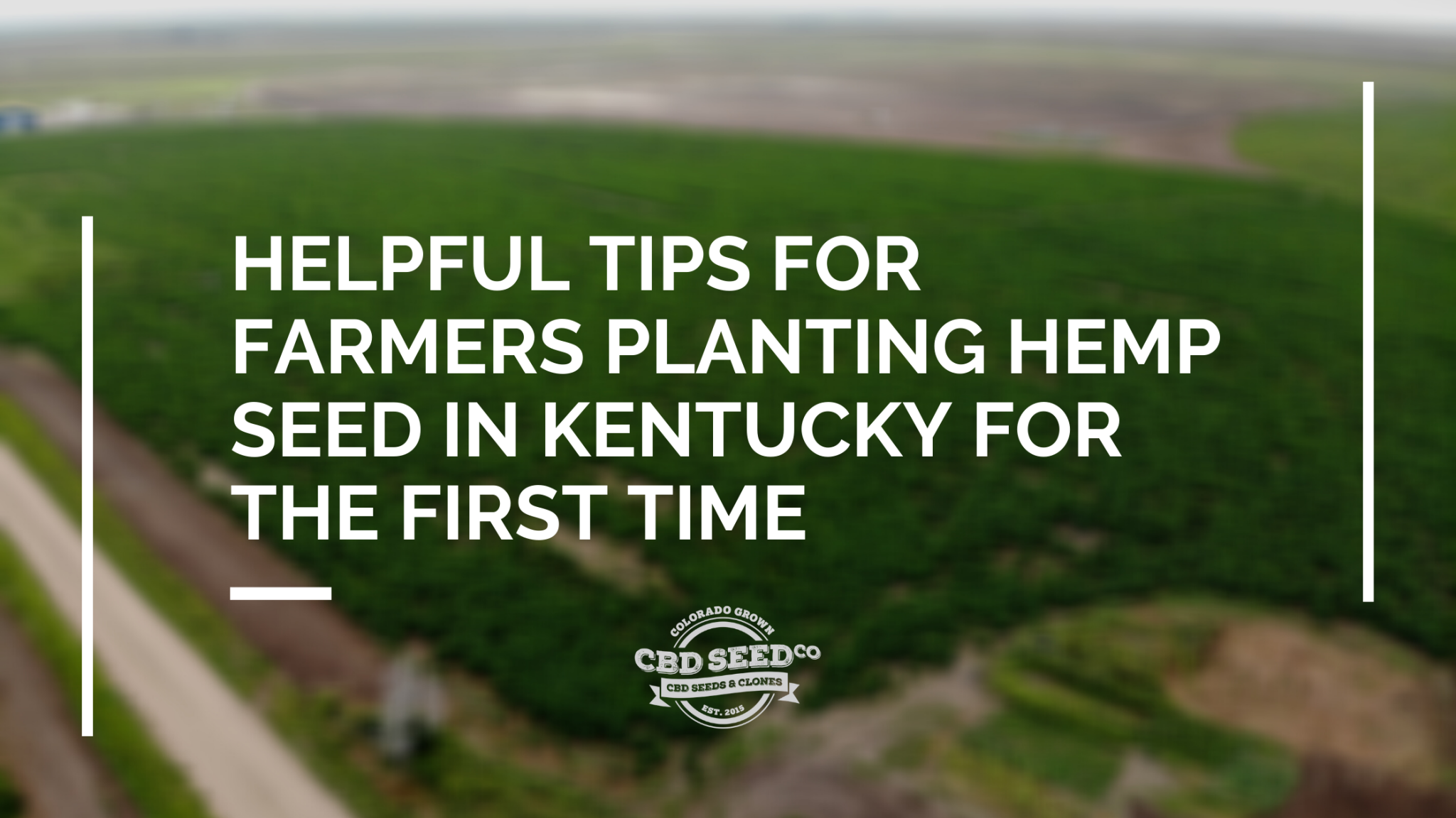 Helpful Tips for Farmers Planting Hemp Seed in Kentucky for the First