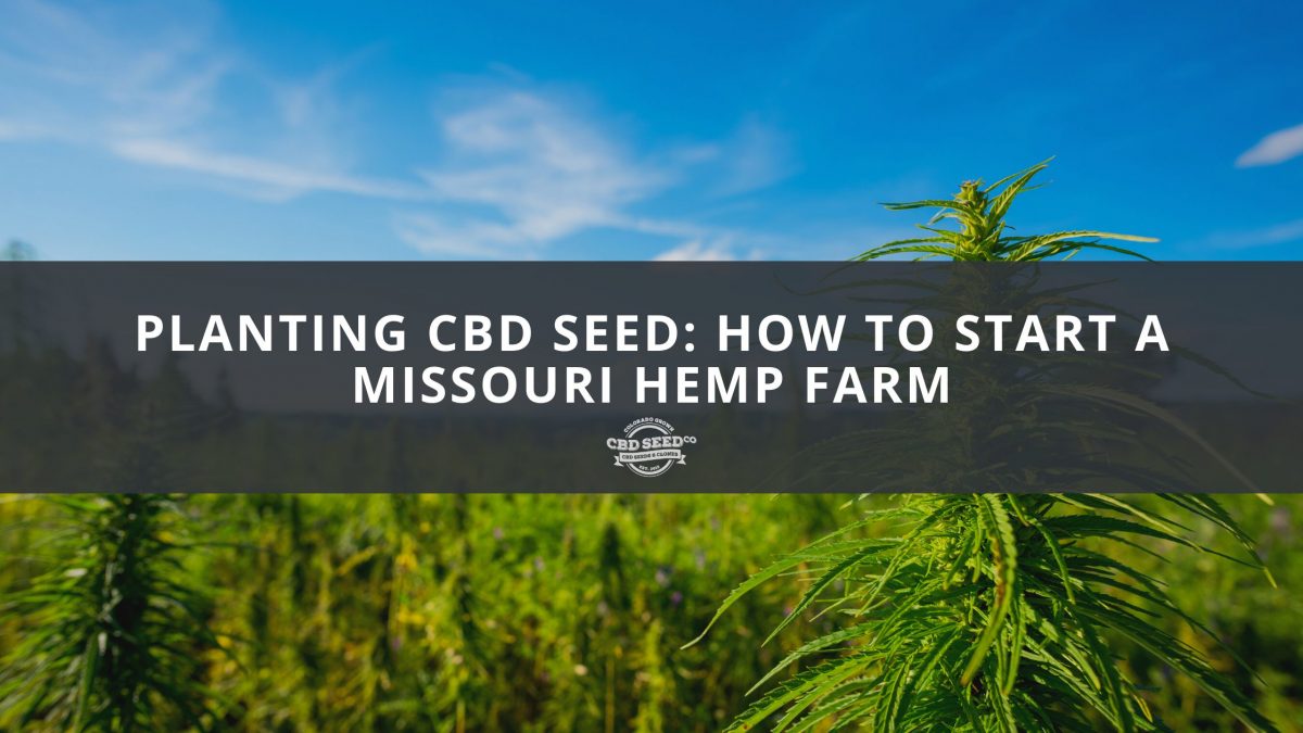 cbd seed missouri