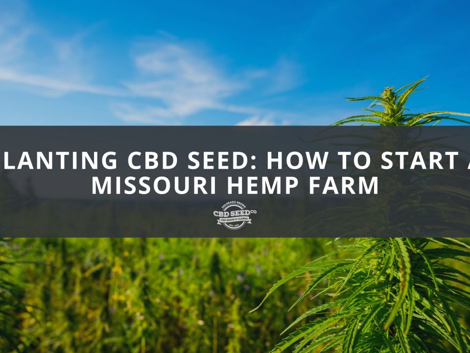 cbd seed missouri