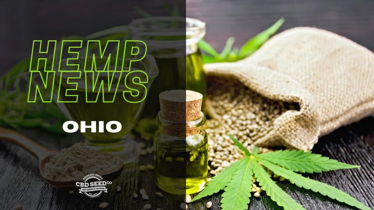 Hemp News Ohio State Seeing A Jump In Hemp Farming CBD Seed Co 