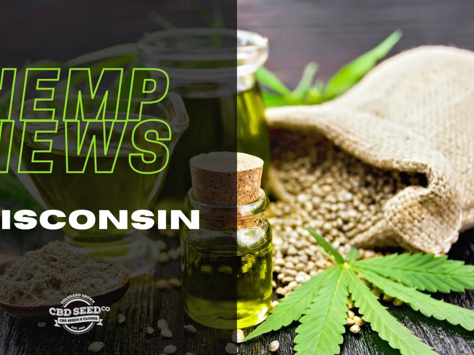 cbd seed wisconsin