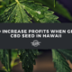 cbd seed hawaii