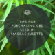 cbd seed massachusetts