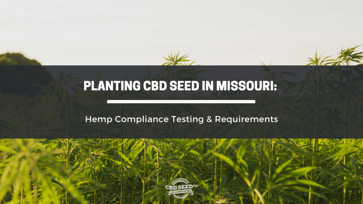 cbd seed missouri