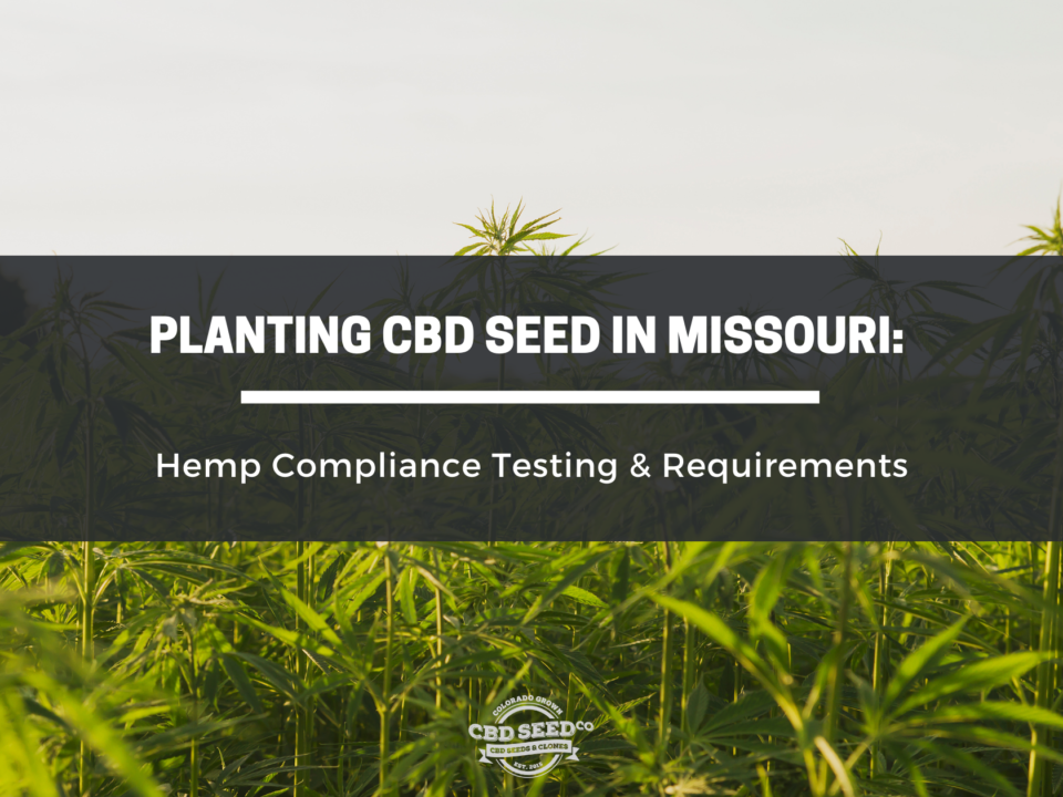 cbd seed missouri