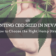 cbd seed nevada