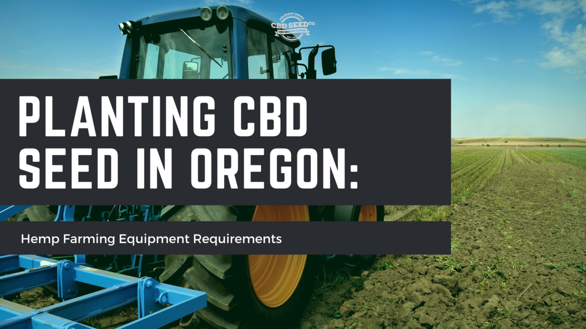 cbd seed oregon