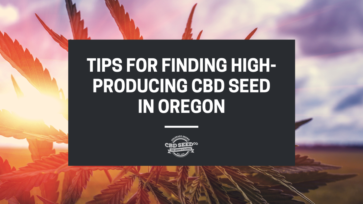 cbd seed oregon