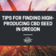 cbd seed oregon