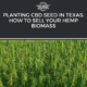 cbd seed texas