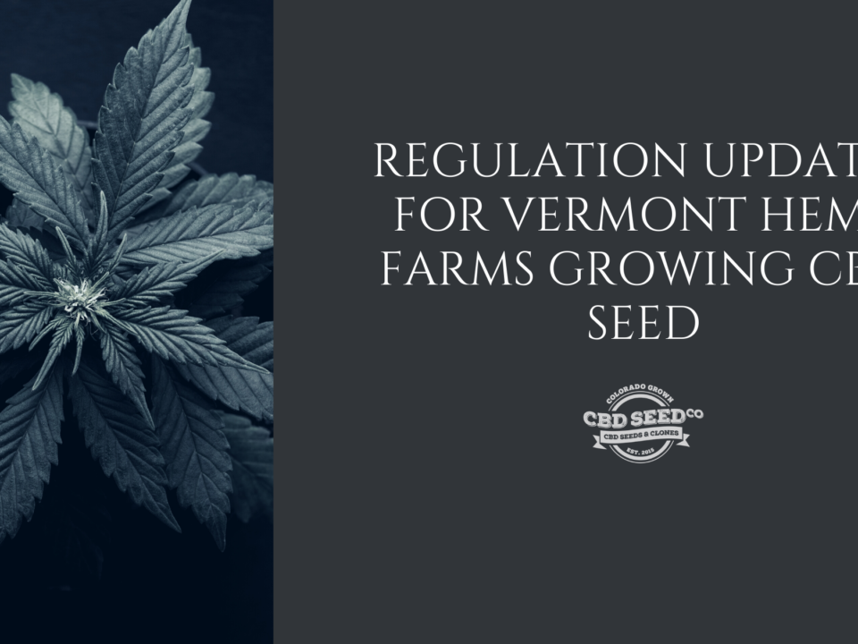 cbd seed vermont