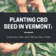 cbd seed vermont