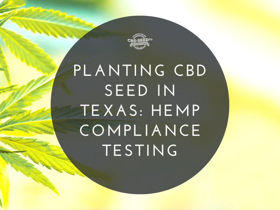 cbd seed texas