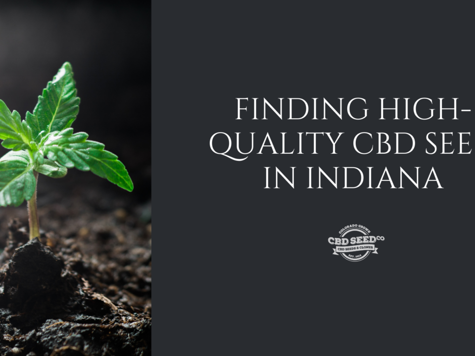 cbd seed indiana