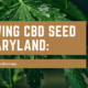 cbd seed maryland