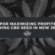 cbd seed new jersey