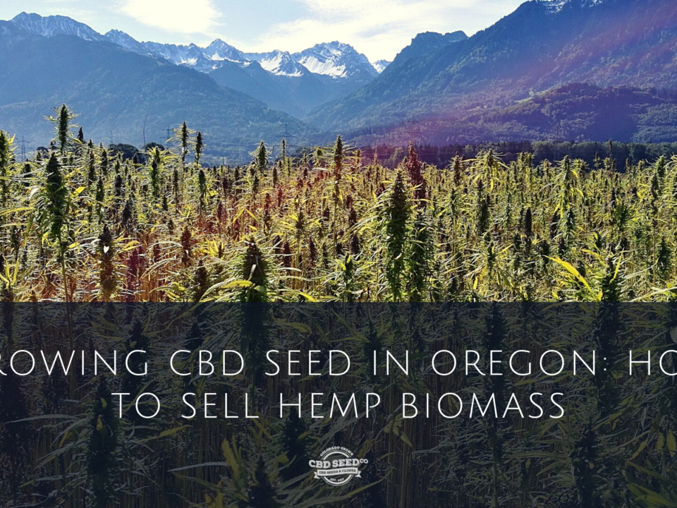 cbd seed oregon