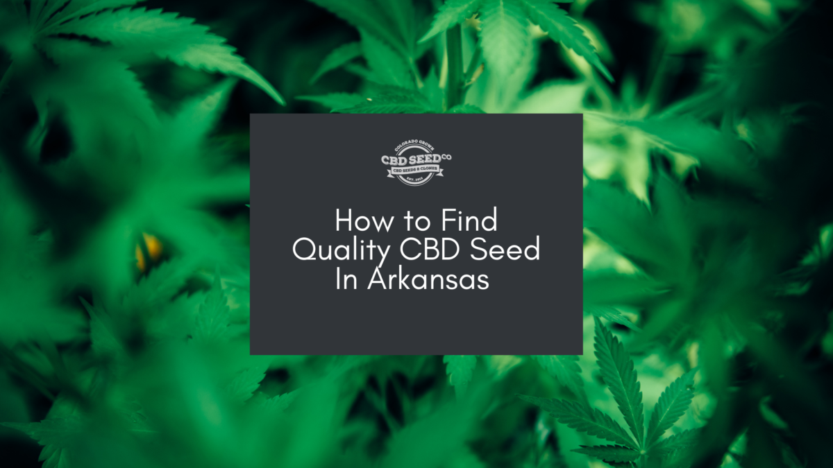 cbd seed arkansas