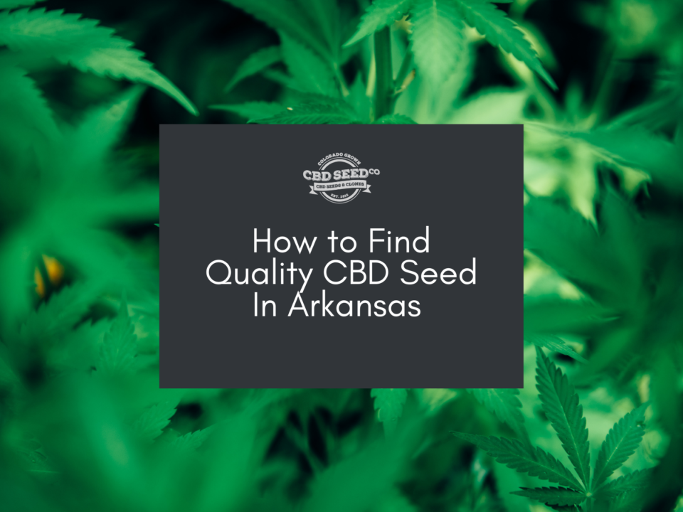 cbd seed arkansas