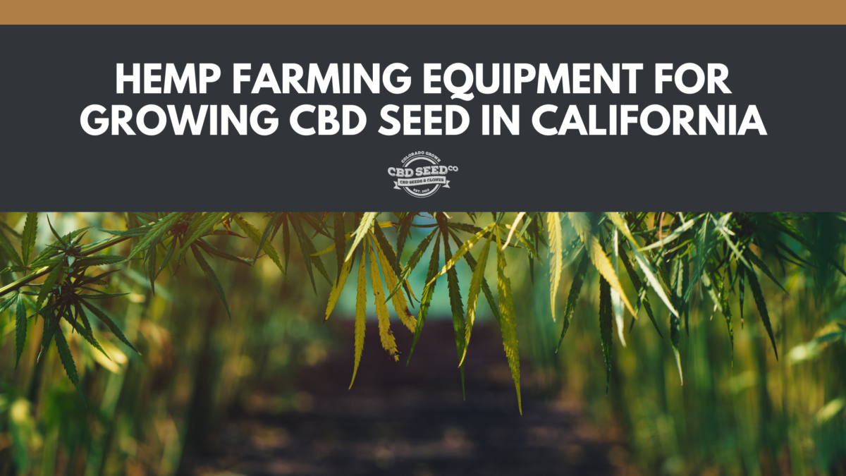 cbd seed california