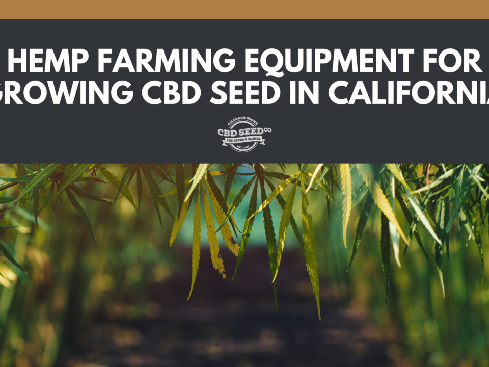 cbd seed california