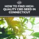 cbd seed connecticut