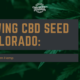 cbd seed colorado