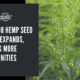 colorado hemp seed market