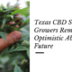 texas CBD seed growers optimistic