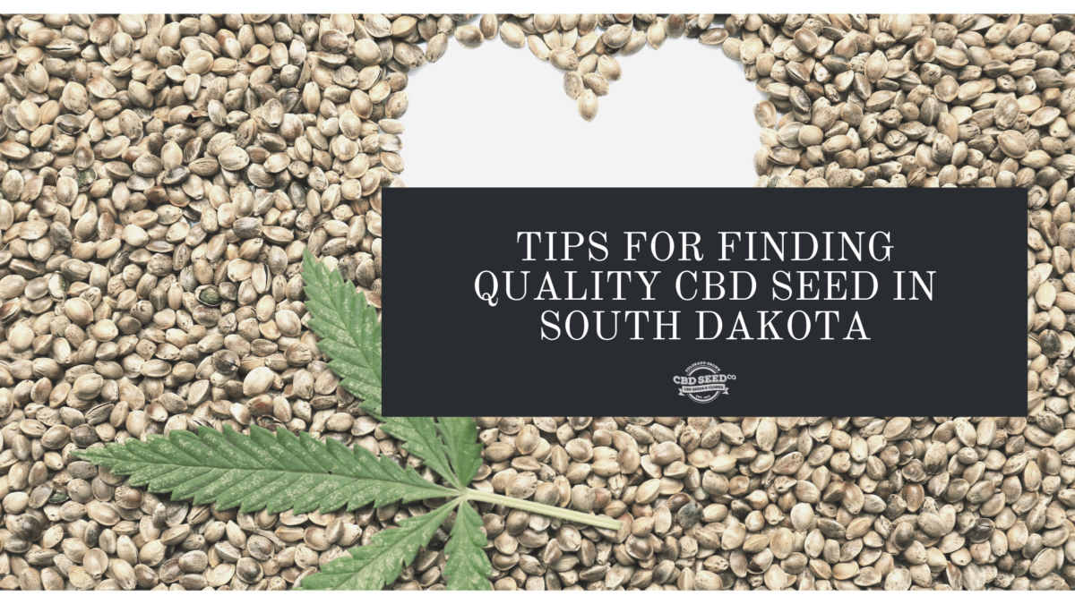 cbd seed south dakota