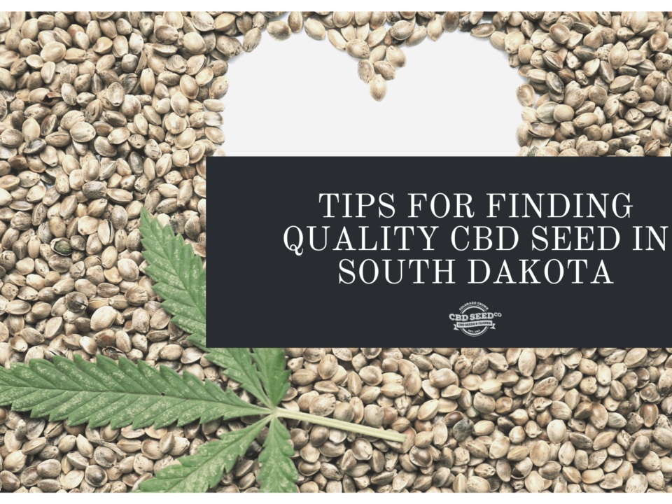 cbd seed south dakota