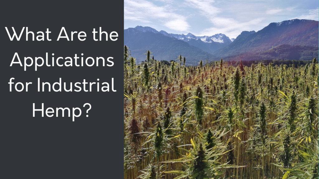 What Are the Applications for Industrial Hemp? CBD Seed Co.