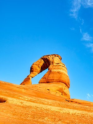 cbd-seed-co-where-we-grow-organizations-utah cbd seed utah