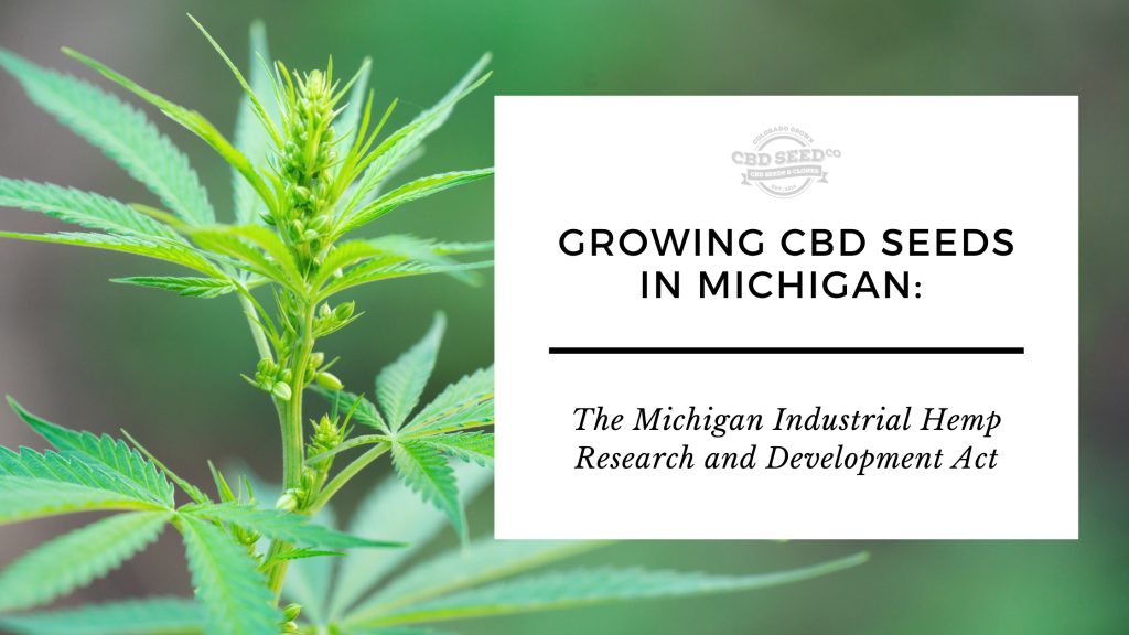 Growing HighCBD Hemp in Michigan CBD Seed Co.