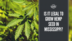 is delta 8 cbd legal in mississippi