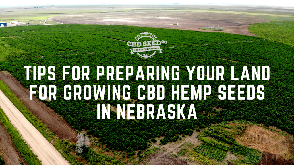 Tips for Preparing Your Land for Growing CBD Hemp Seeds in Nebraska