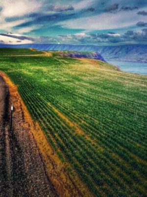 cbd-hemp-biomass-transportation-maine cbd hemp biomass transportation maine