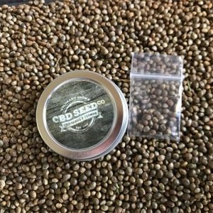 cbd-hemp-seed-arizona cbd seed arizona