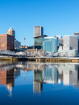 cbd-seed-co-where-we-grow-organizations-maine cbd seed co where we grow organizations maine