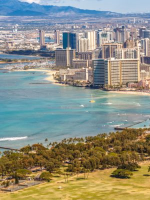 hawaii-hemp-organizations-cbd-seed hawaii hemp organizations cbd seed